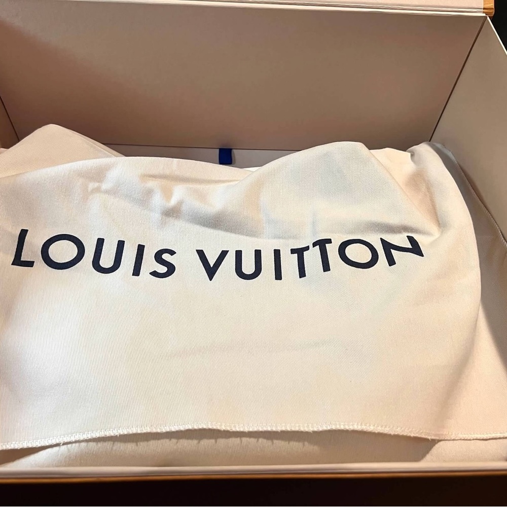 Louis Vuitton Loop Hobo - Picture 4 of 6